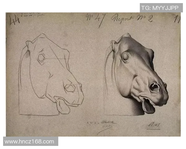 全球足球巨星风采素描与传奇故事分享